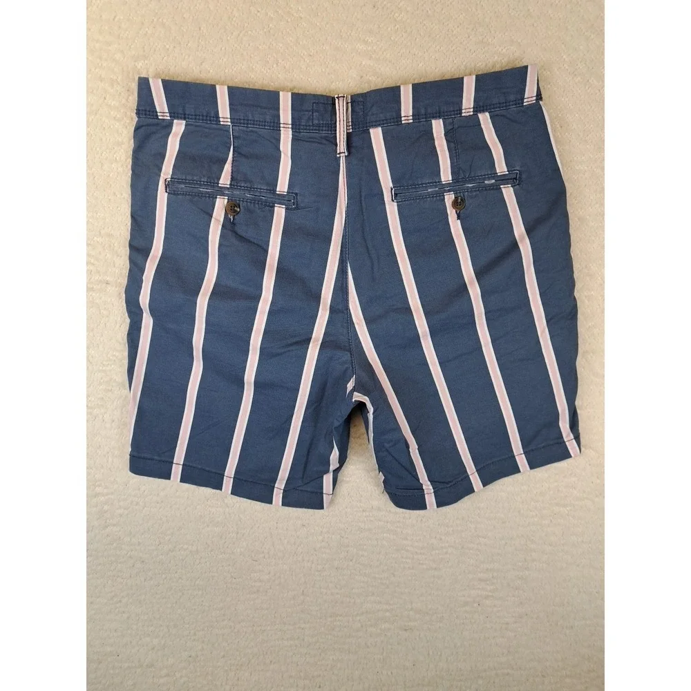 American Eagle Stripied Shorts Mens Size 32 Slim Fit Flat Front‎